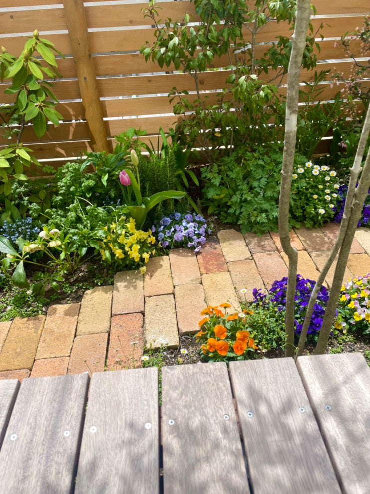 春の草花が美しいミニガーデン