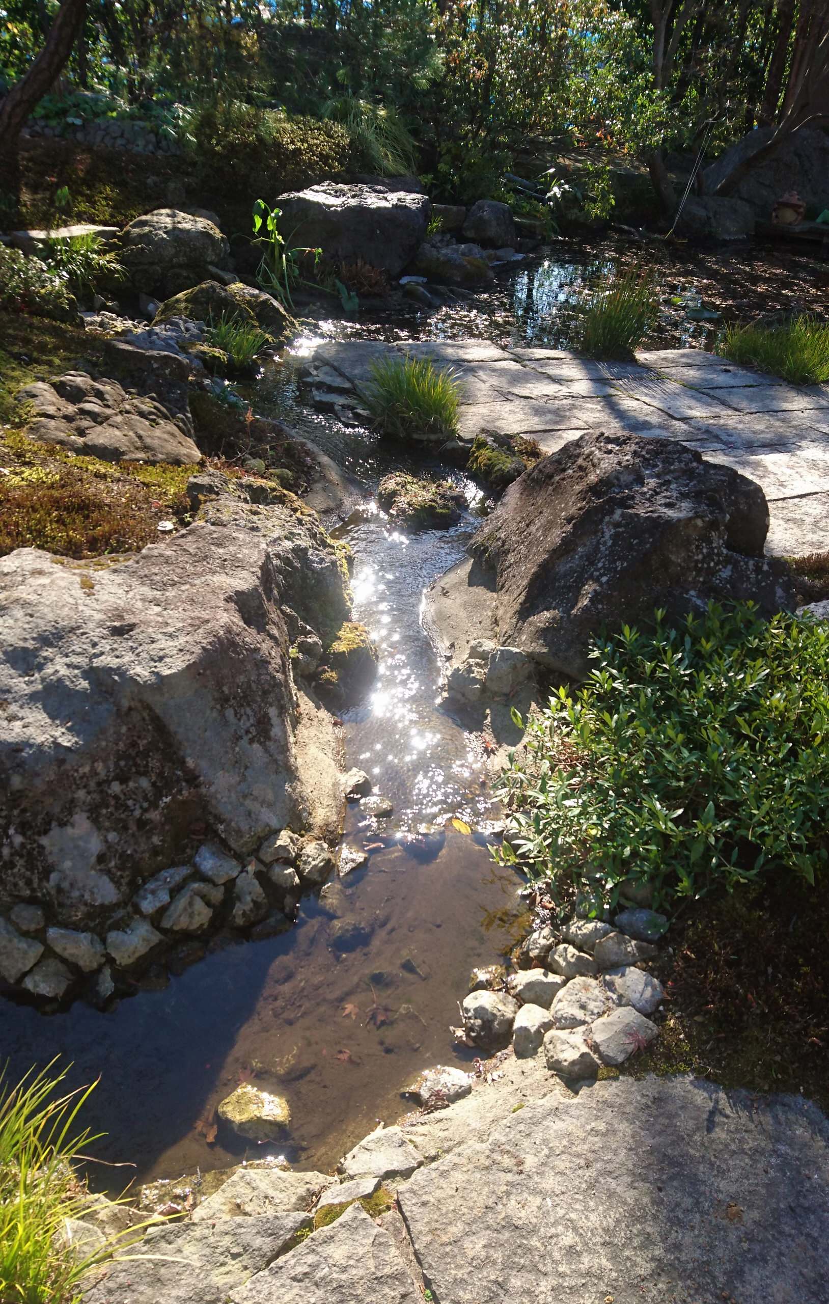 湧水から小川へ・・・水景の庭
