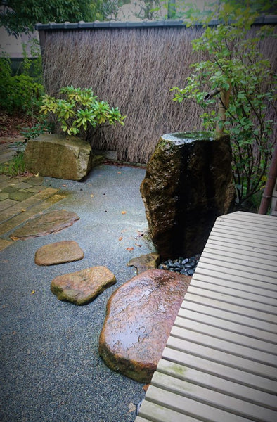 雨の庭