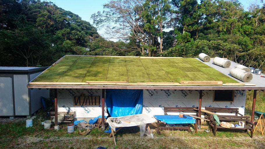 苔屋根