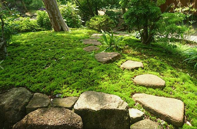 大きな日本庭園の管理