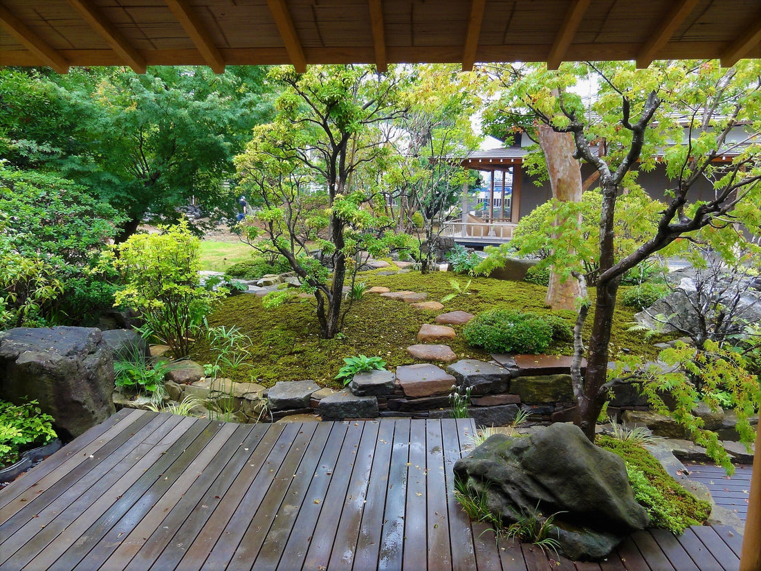 大きな日本庭園